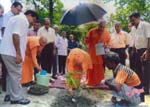 scan0071_01